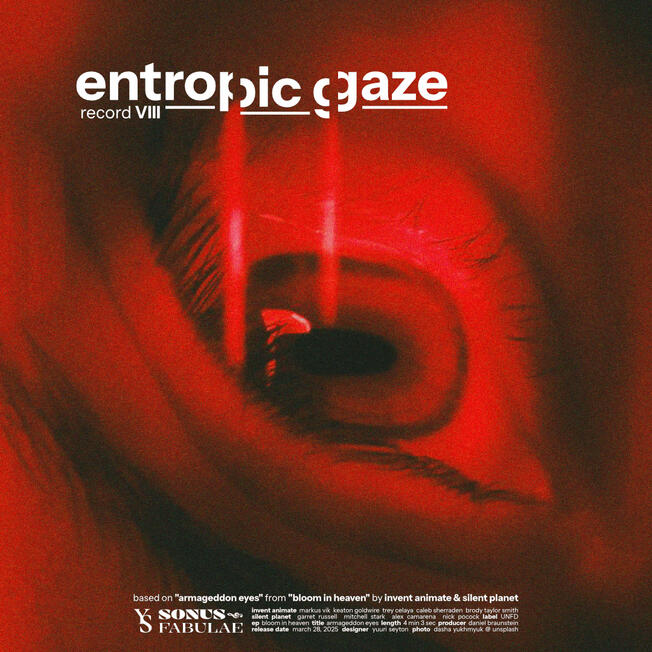 #8: Entropic Gaze
