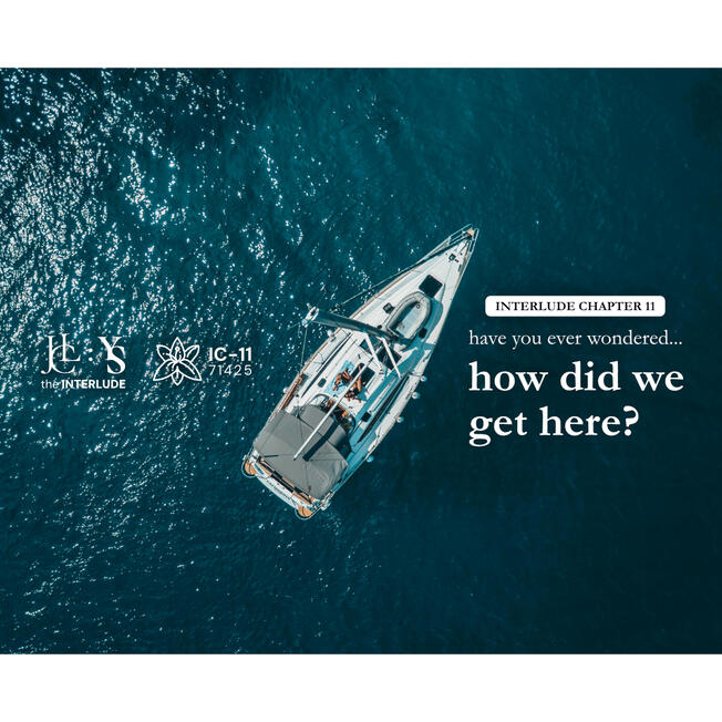 Chapter 11: How Did We Get Here?