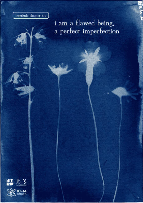 Chapter 14: I Am A Flawed Being, A Perfect Imperfection